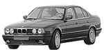 BMW E34 P1BDC Fault Code